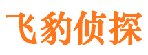 望都外遇调查取证